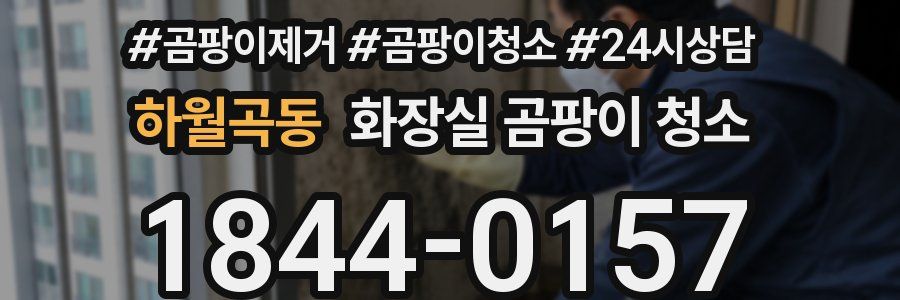 하월곡동 화장실 곰팡이 청소