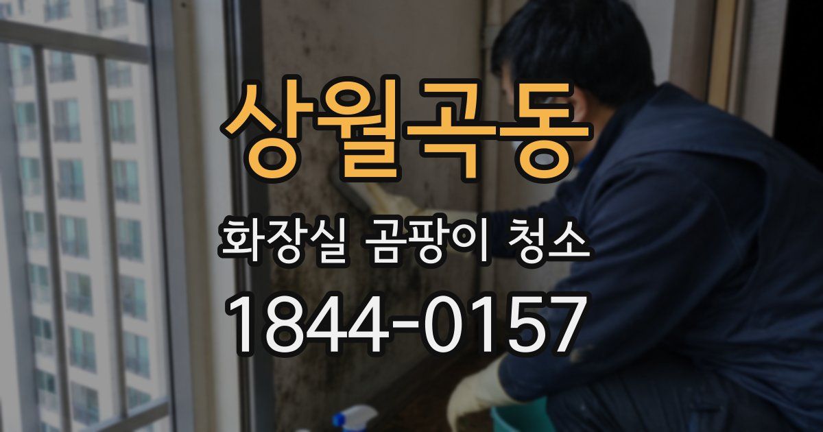 상월곡동 화장실 곰팡이 청소