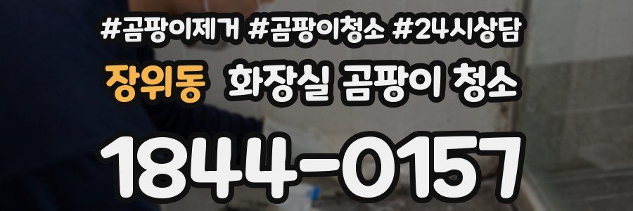 장위동 화장실 곰팡이 청소