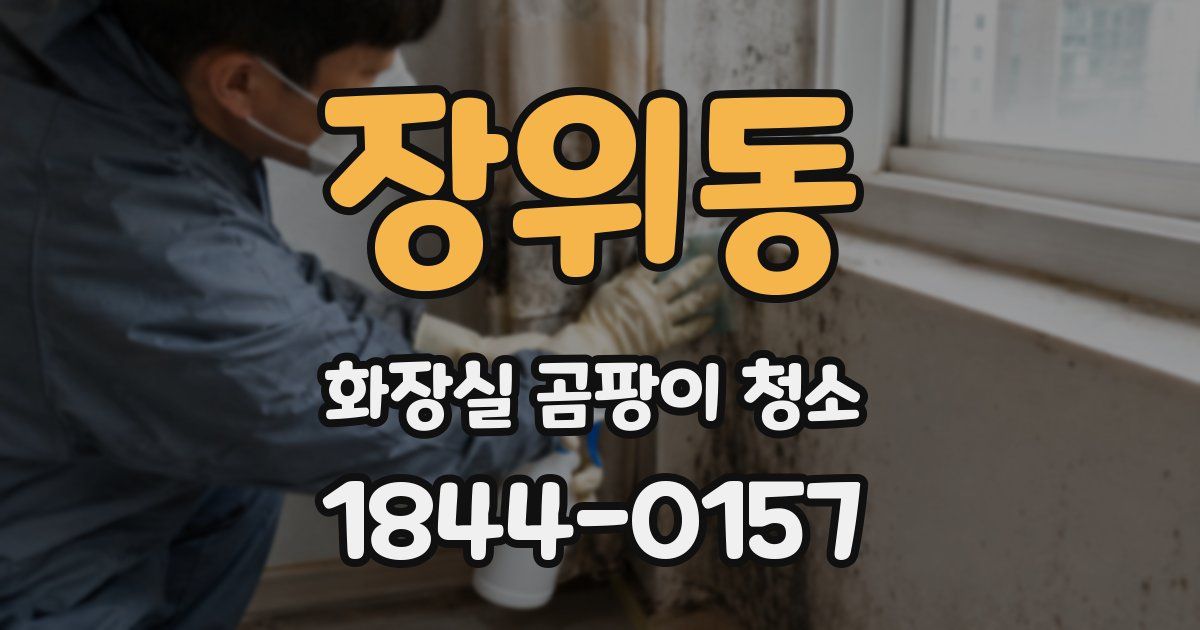 장위동 화장실 곰팡이 청소