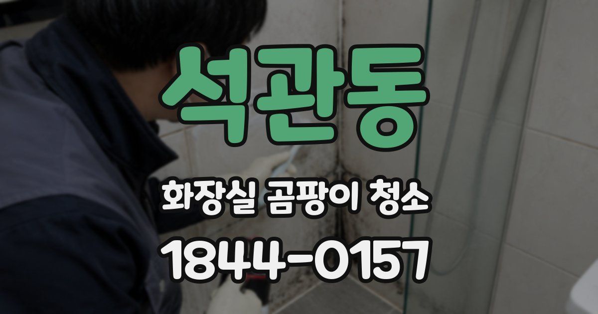 석관동 화장실 곰팡이 청소