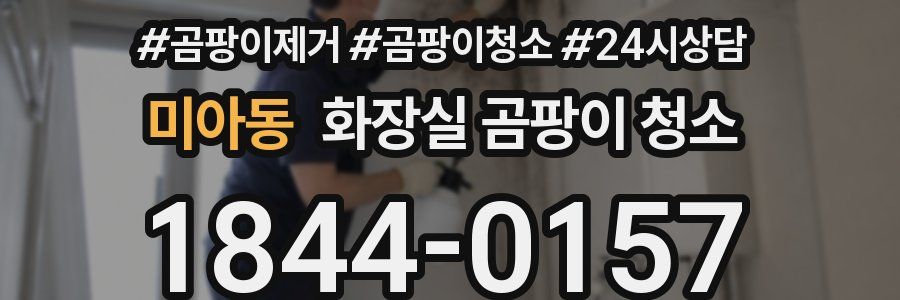 미아동 화장실 곰팡이 청소