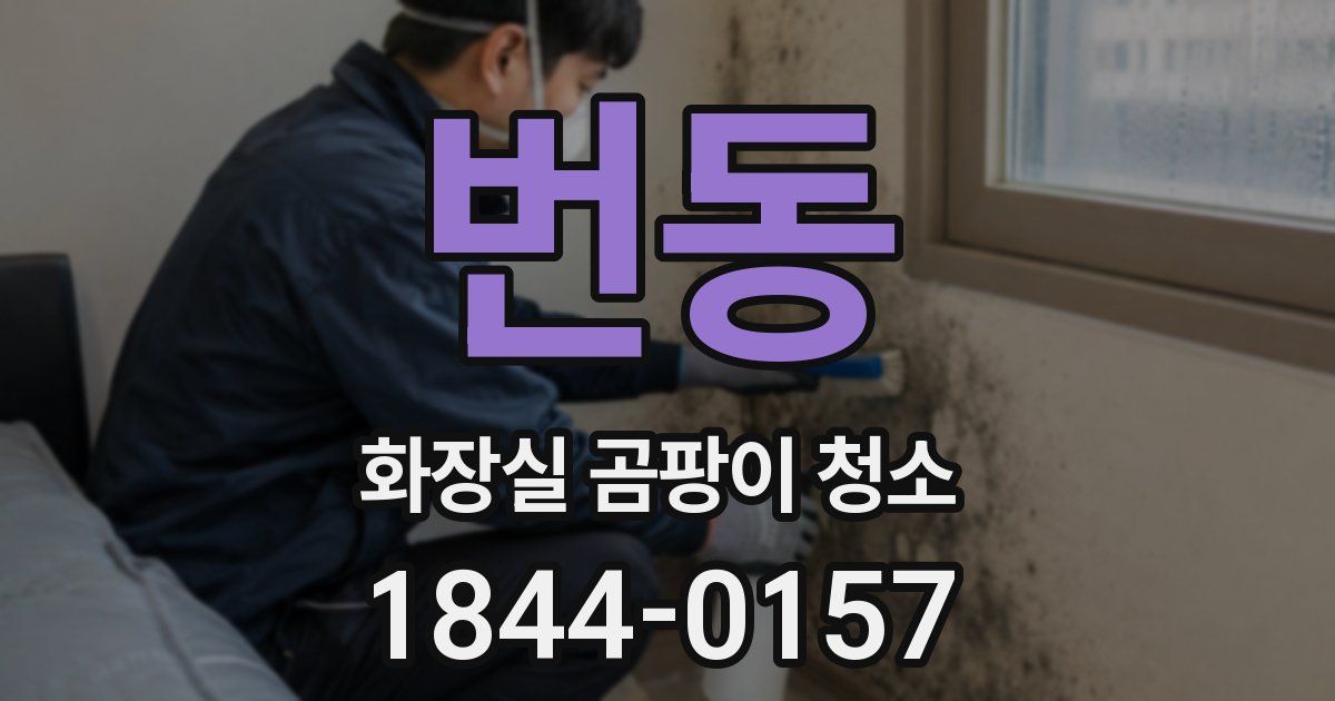 번동 화장실 곰팡이 청소