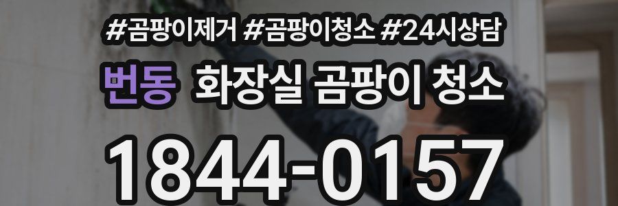 번동 화장실 곰팡이 청소