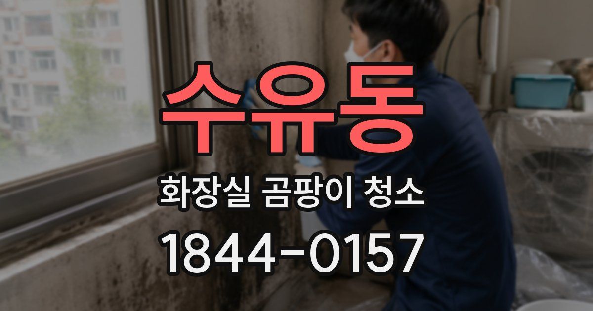 수유동 화장실 곰팡이 청소