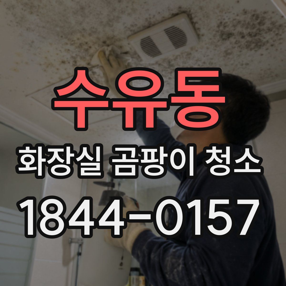 수유동 화장실 곰팡이 청소