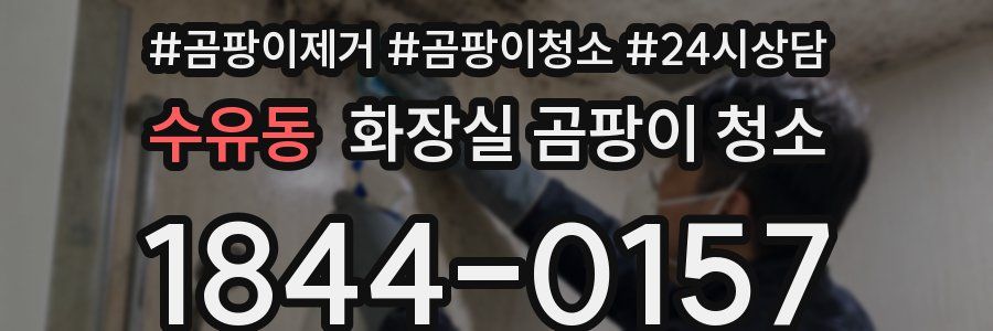 수유동 화장실 곰팡이 청소