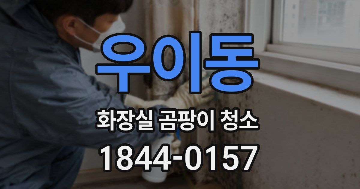 우이동 화장실 곰팡이 청소