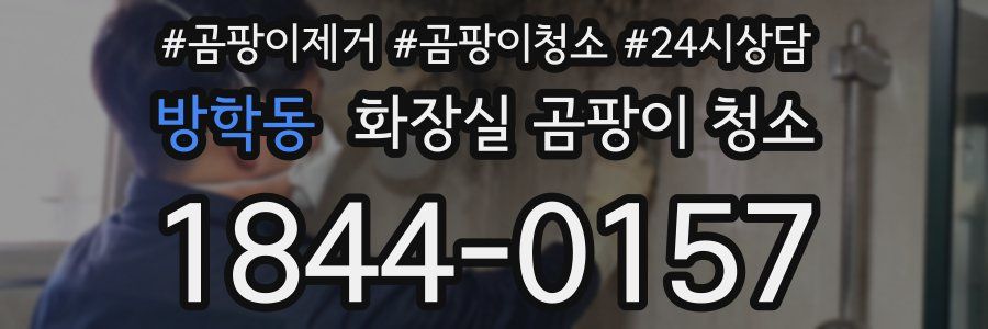 방학동 화장실 곰팡이 청소