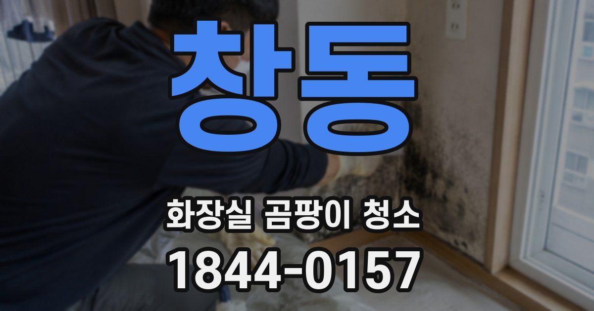 창동 화장실 곰팡이 청소