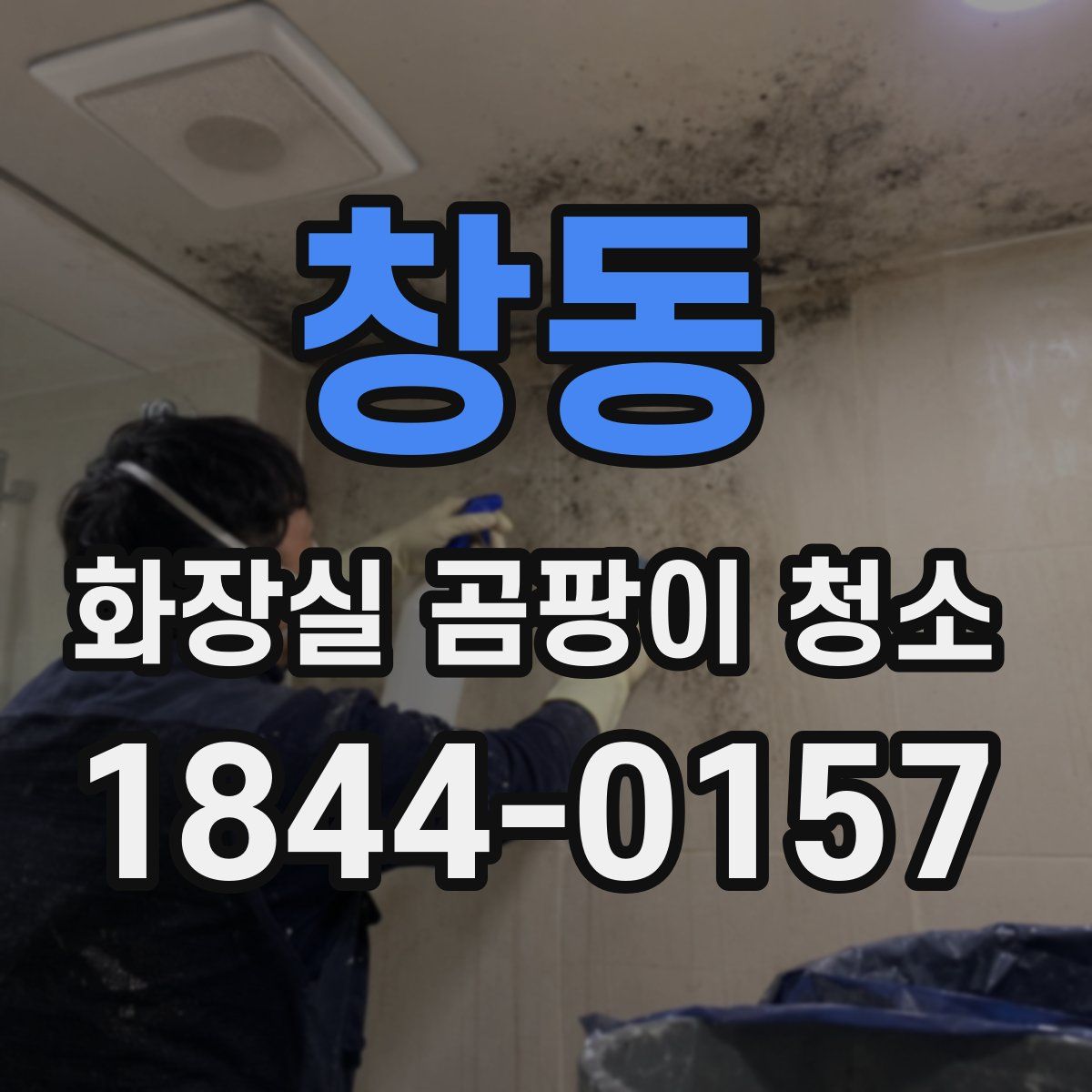 창동 화장실 곰팡이 청소