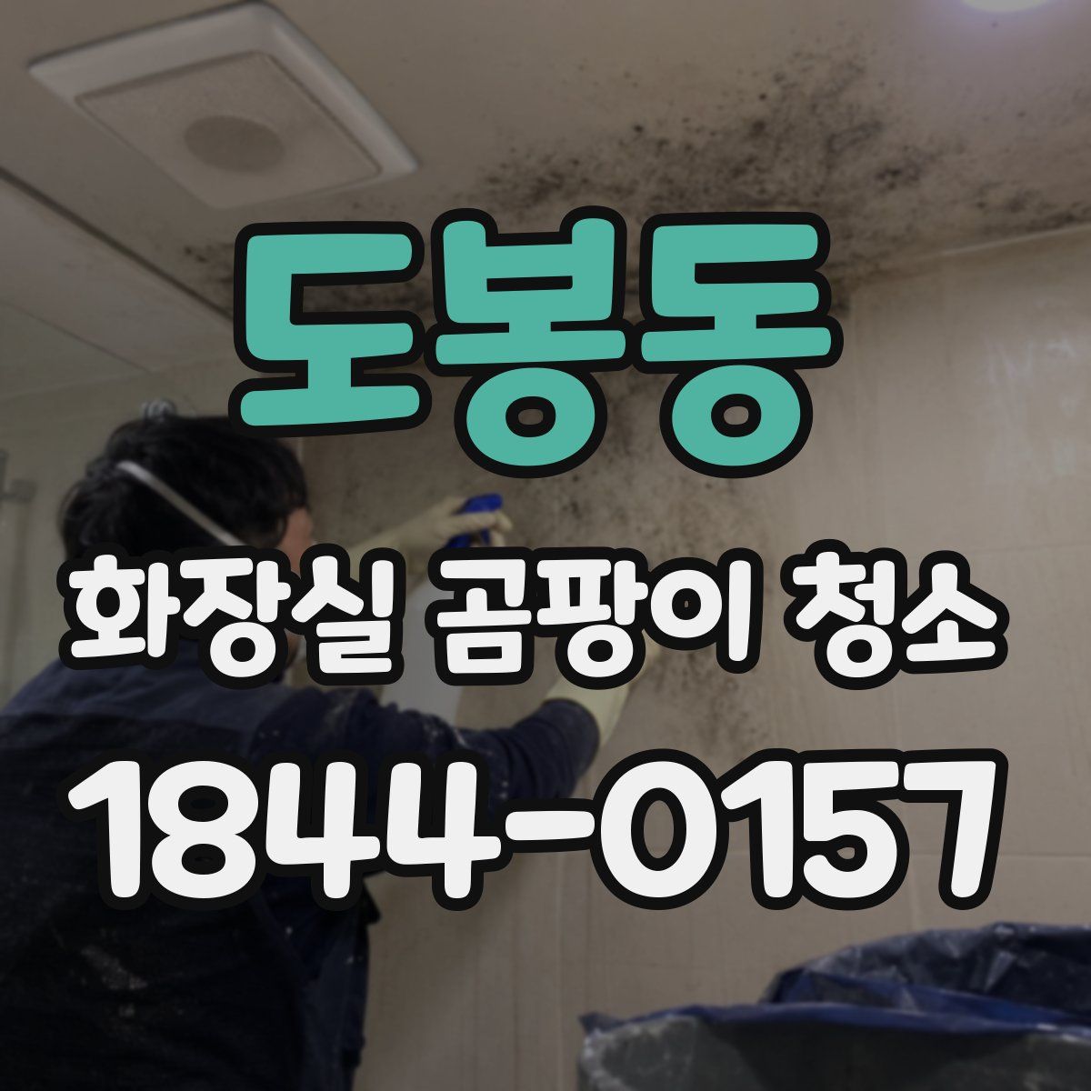 도봉동 화장실 곰팡이 청소
