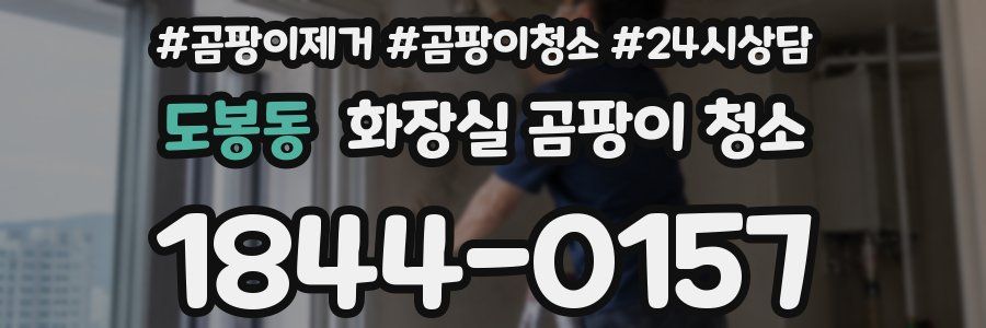 도봉동 화장실 곰팡이 청소