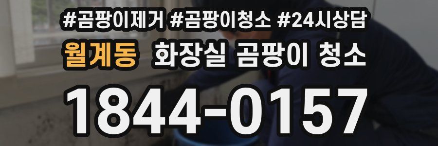 월계동 화장실 곰팡이 청소