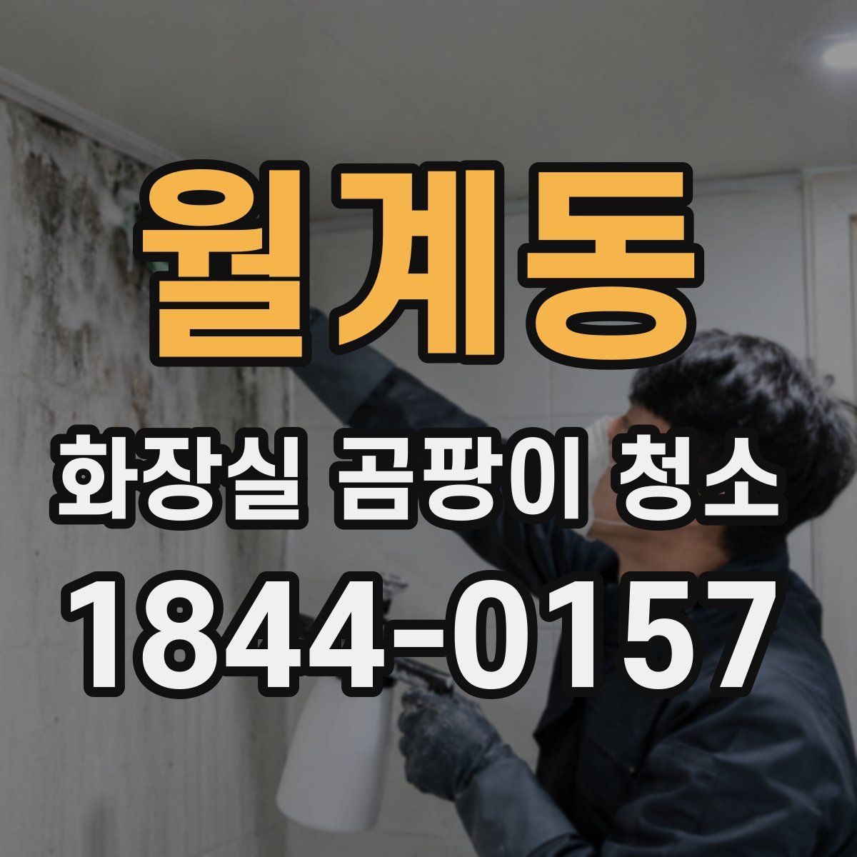 월계동 화장실 곰팡이 청소