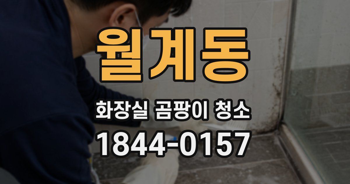 월계동 화장실 곰팡이 청소