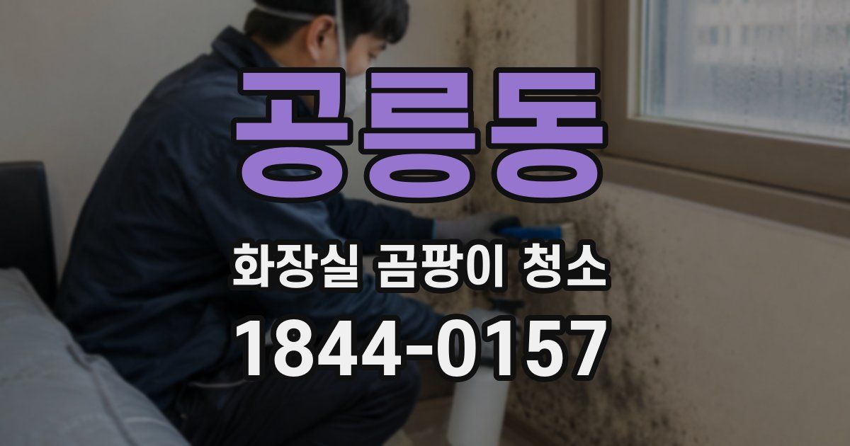 공릉동 화장실 곰팡이 청소