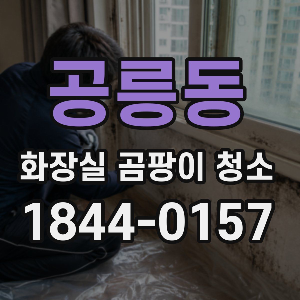 공릉동 화장실 곰팡이 청소