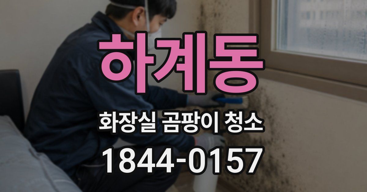 하계동 화장실 곰팡이 청소