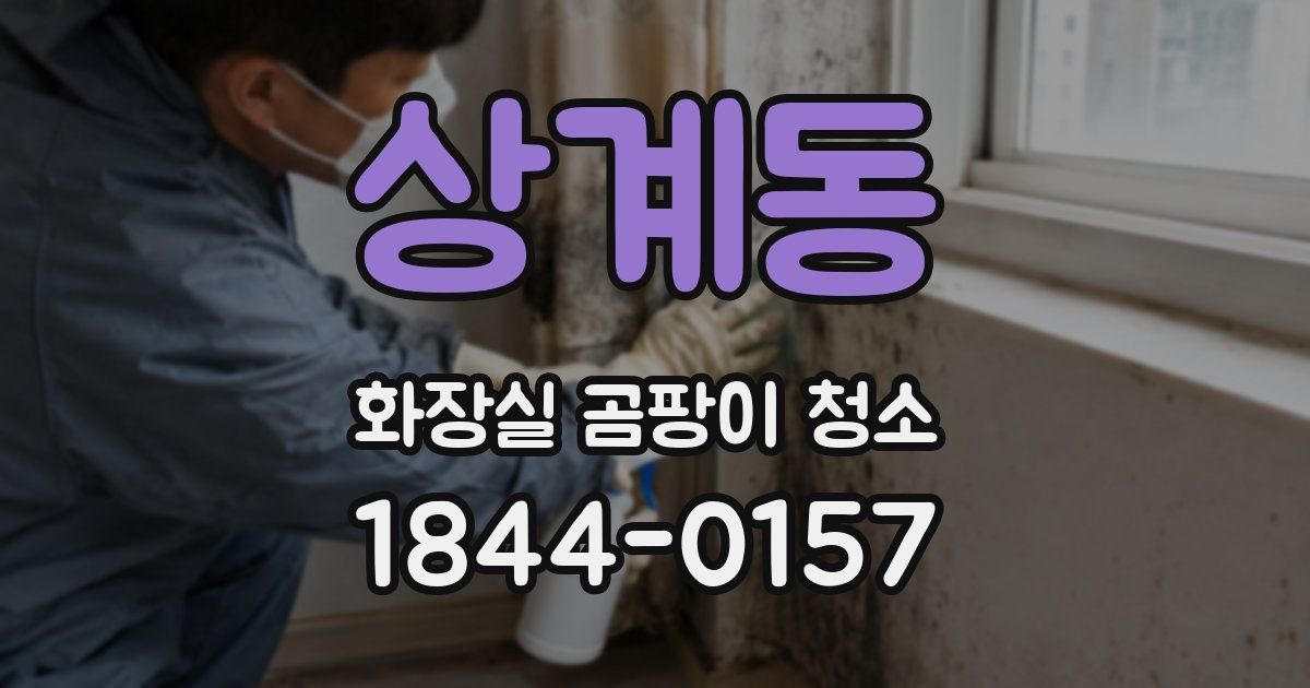 상계동 화장실 곰팡이 청소