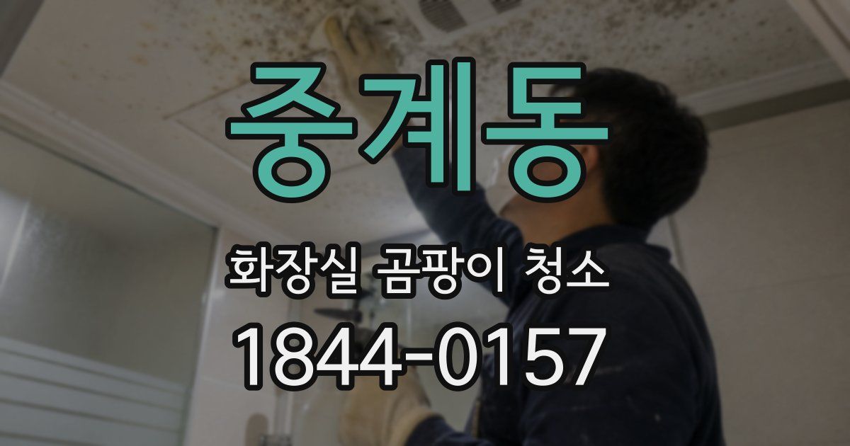 중계동 화장실 곰팡이 청소