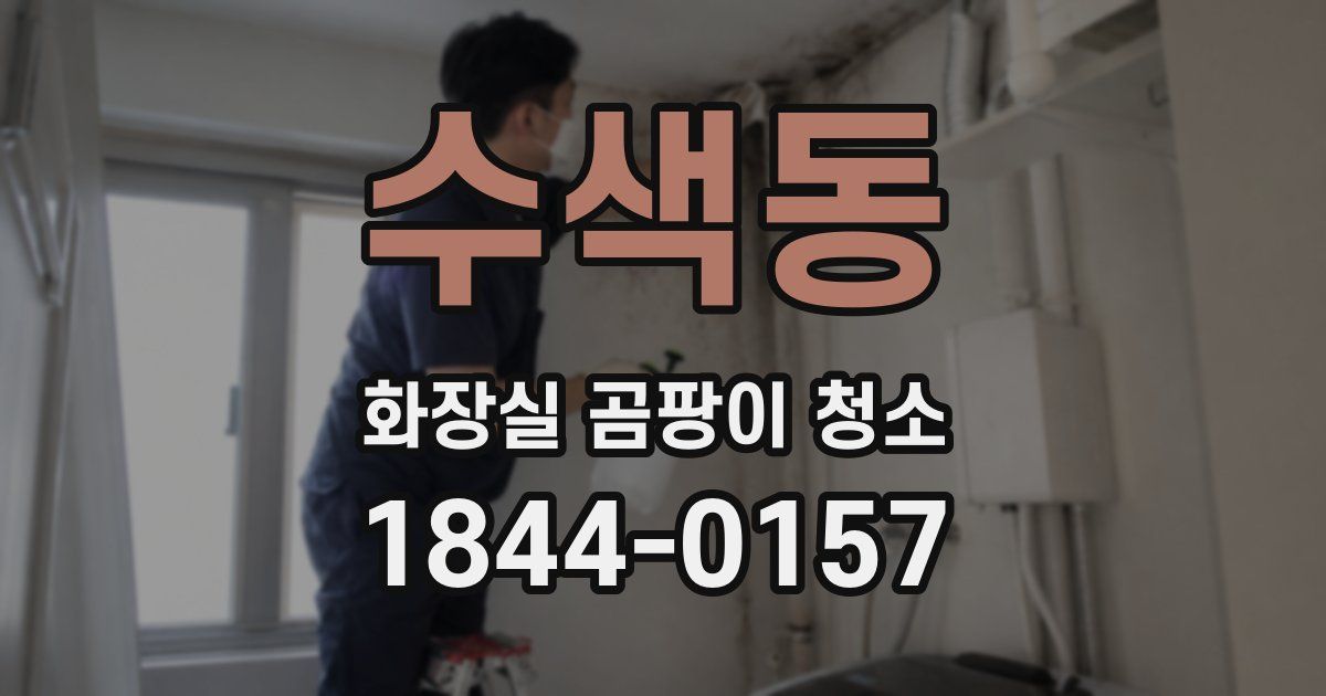 수색동 화장실 곰팡이 청소