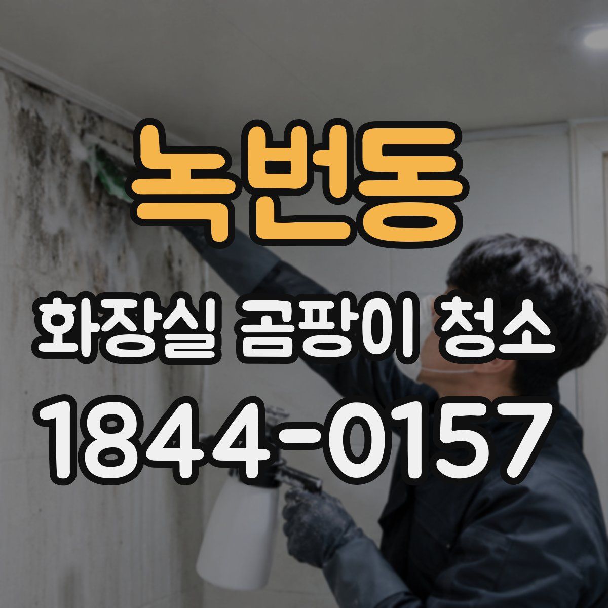 녹번동 화장실 곰팡이 청소