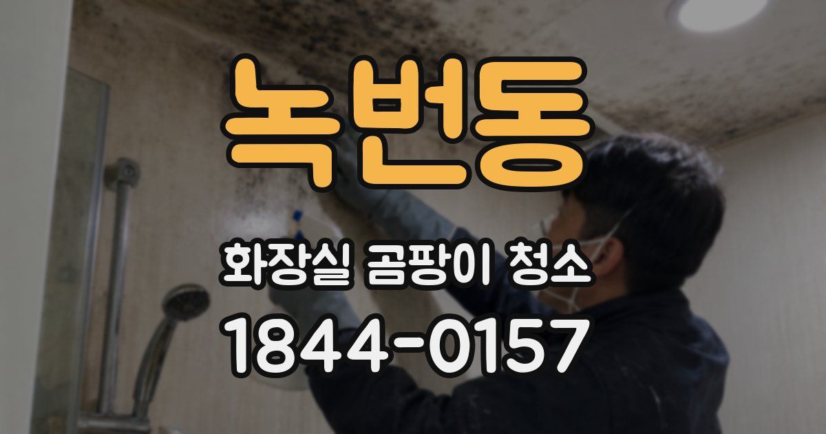 녹번동 화장실 곰팡이 청소