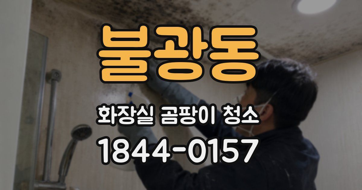 불광동 화장실 곰팡이 청소