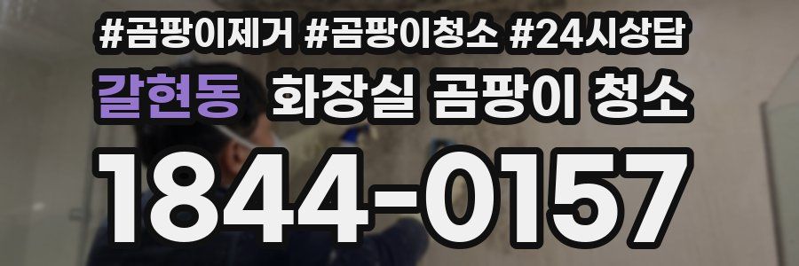 갈현동 화장실 곰팡이 청소