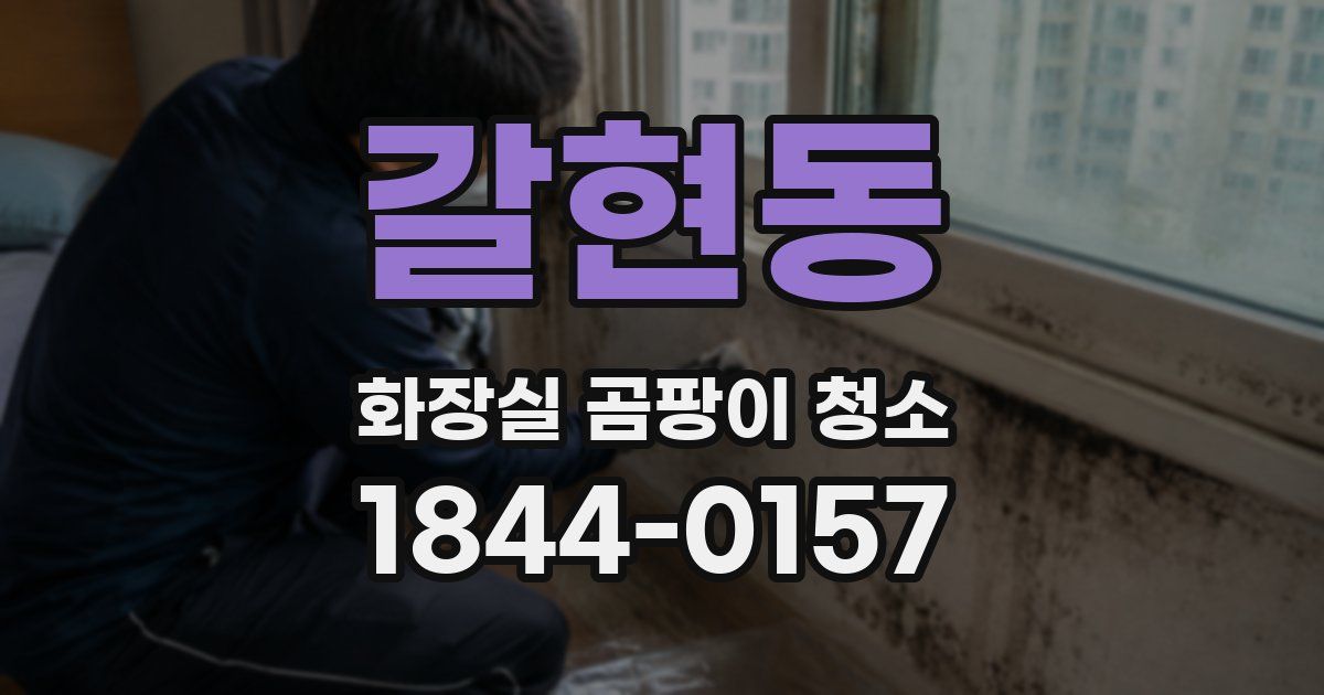 갈현동 화장실 곰팡이 청소