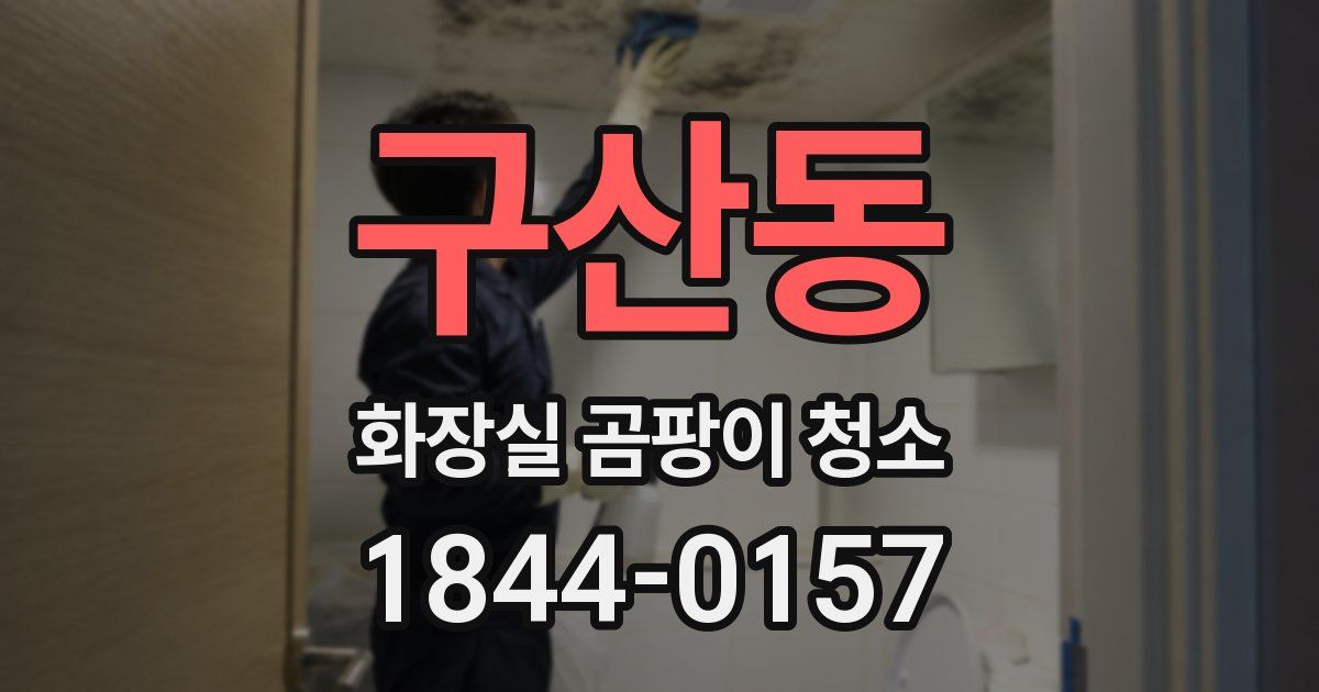 구산동 화장실 곰팡이 청소