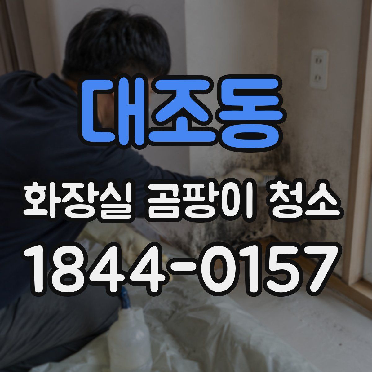 대조동 화장실 곰팡이 청소