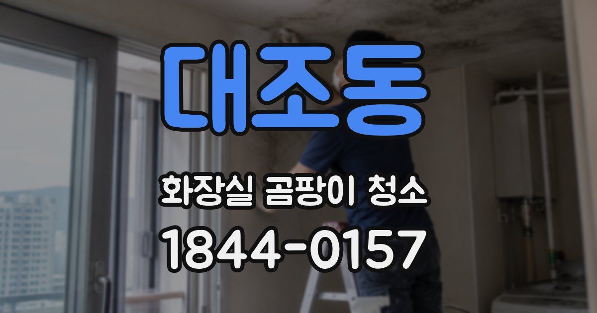 대조동 화장실 곰팡이 청소