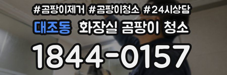 대조동 화장실 곰팡이 청소