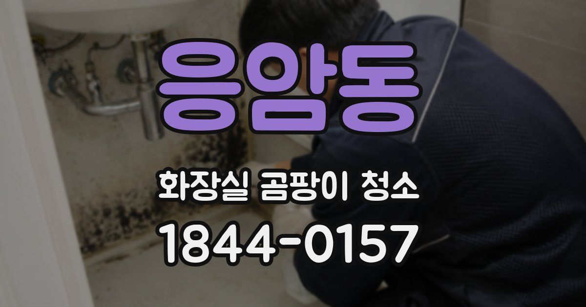 응암동 화장실 곰팡이 청소
