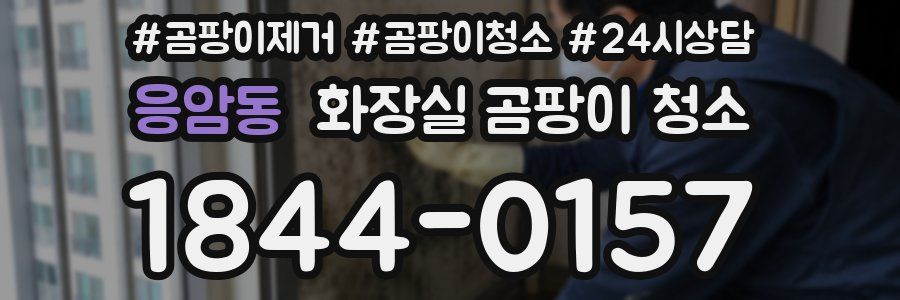응암동 화장실 곰팡이 청소