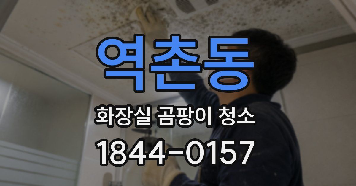 역촌동 화장실 곰팡이 청소