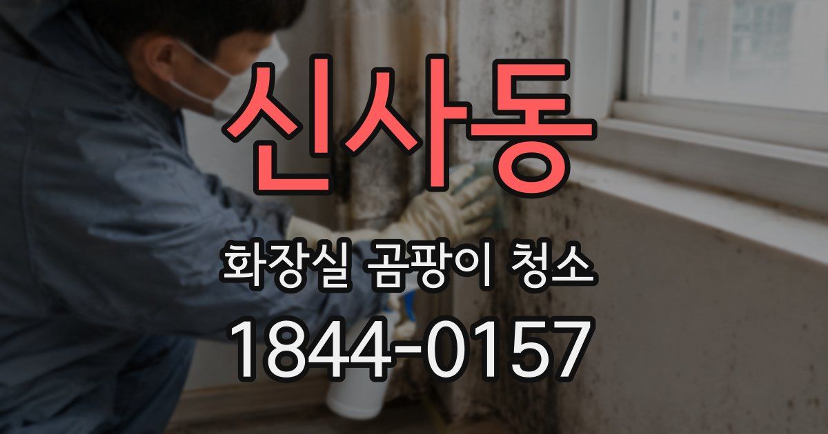 신사동 화장실 곰팡이 청소