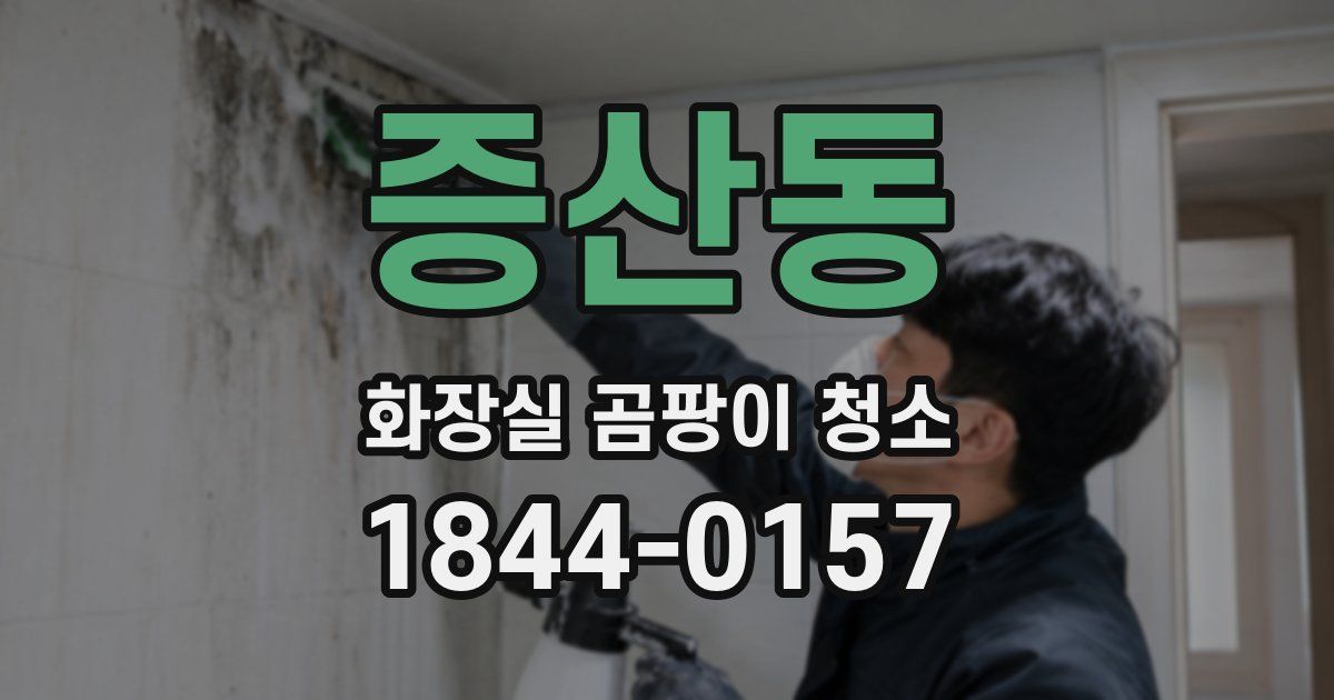 증산동 화장실 곰팡이 청소