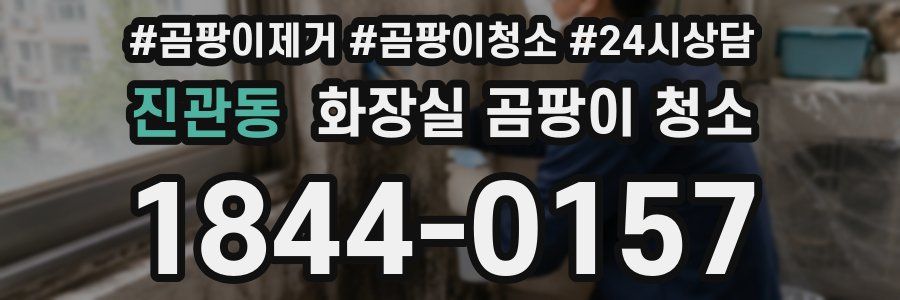 진관동 화장실 곰팡이 청소