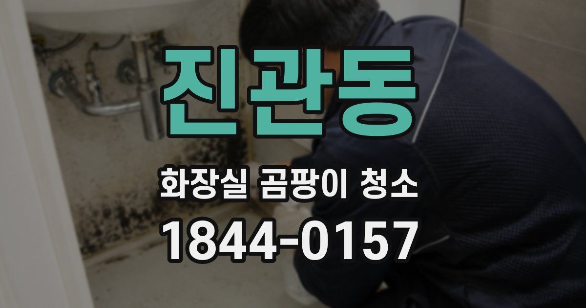 진관동 화장실 곰팡이 청소