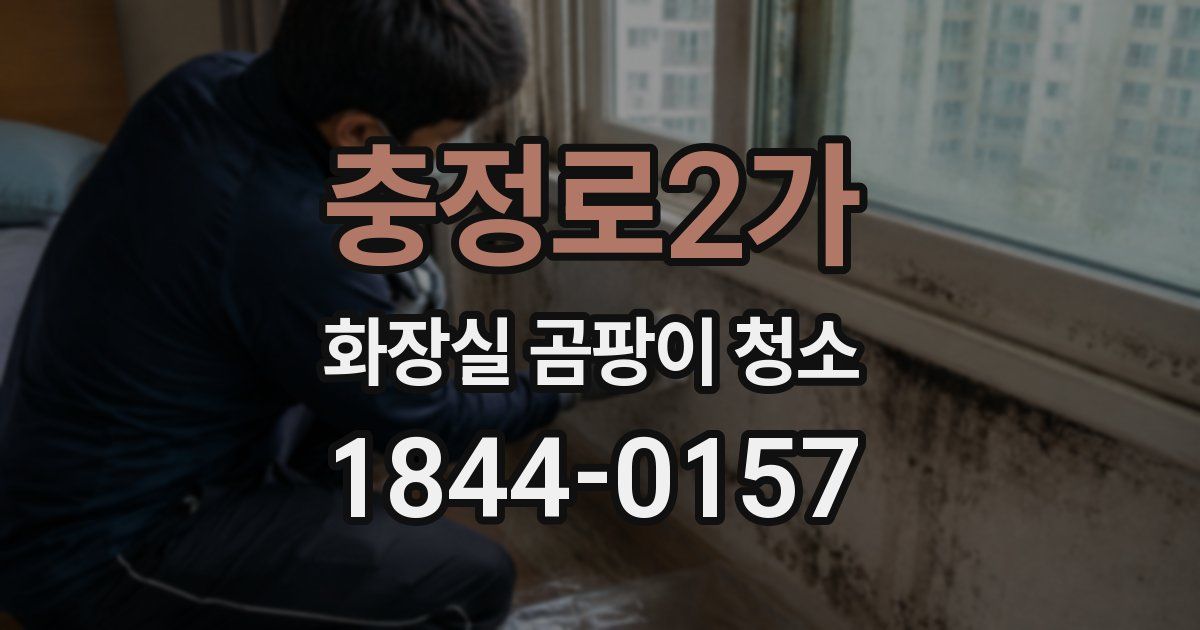 충정로2가 화장실 곰팡이 청소