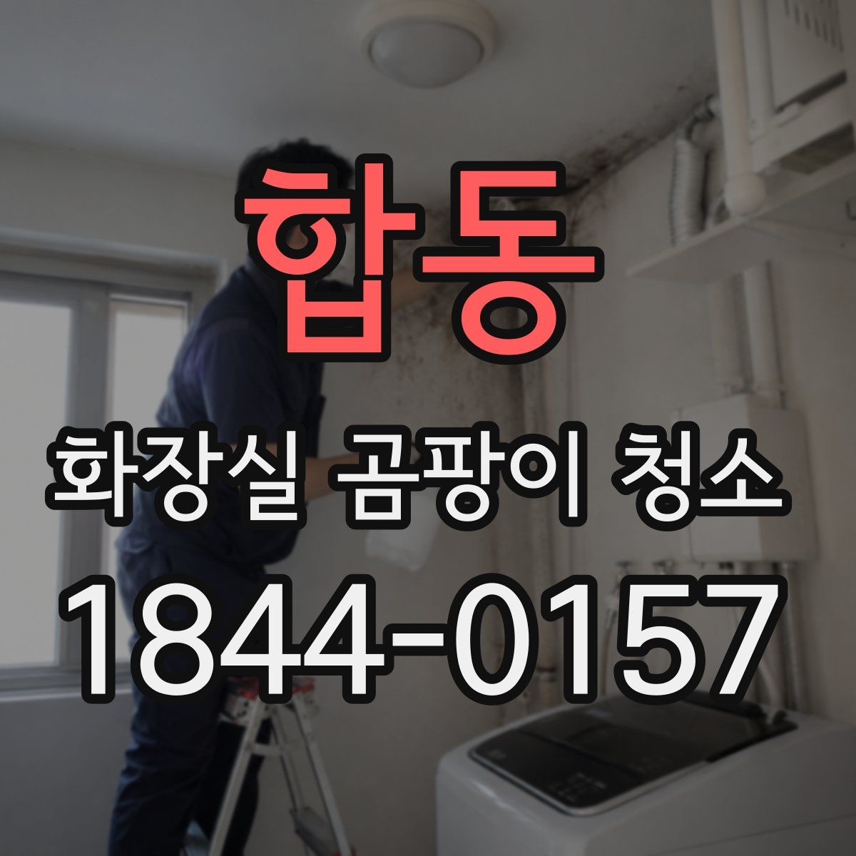 합동 화장실 곰팡이 청소