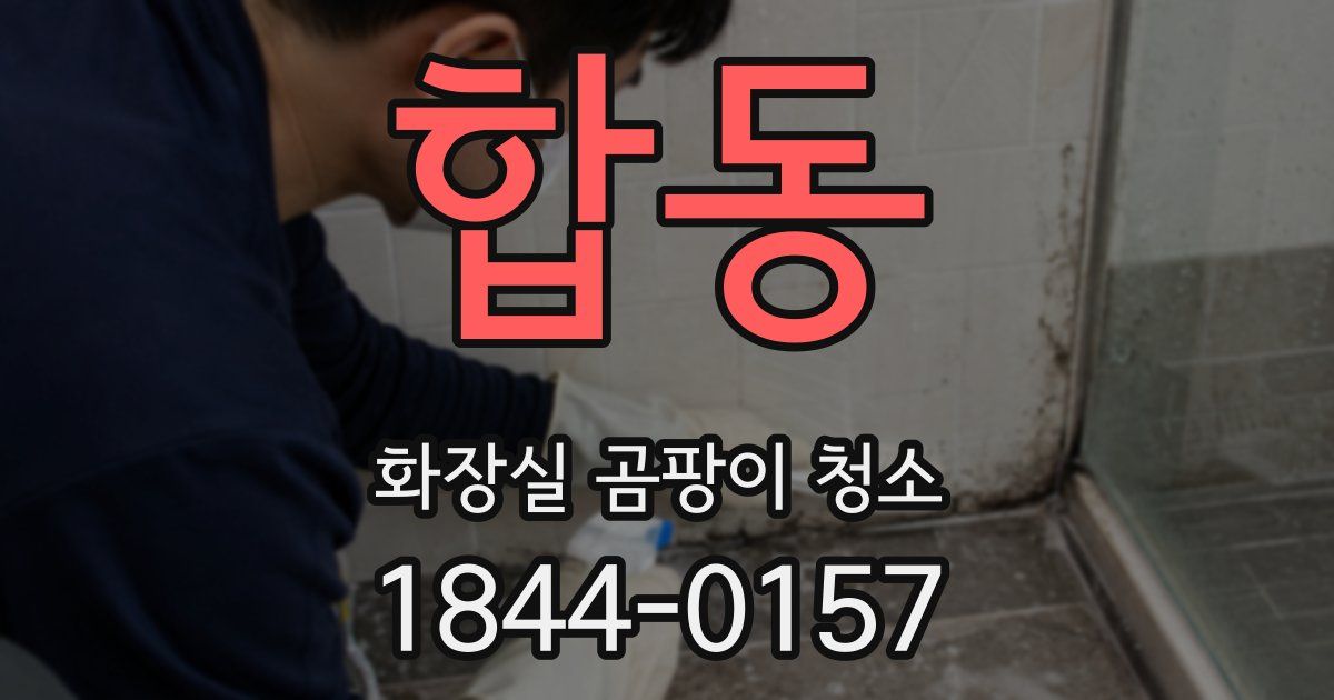 합동 화장실 곰팡이 청소