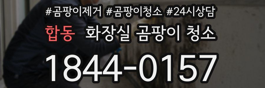 합동 화장실 곰팡이 청소