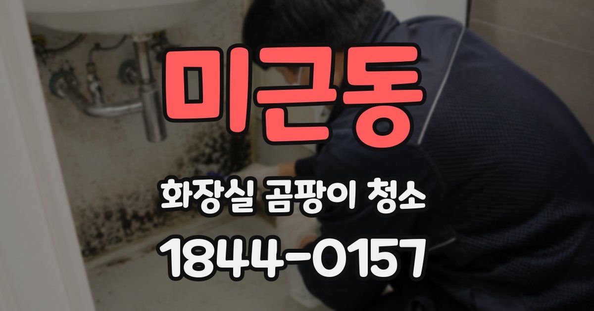 미근동 화장실 곰팡이 청소
