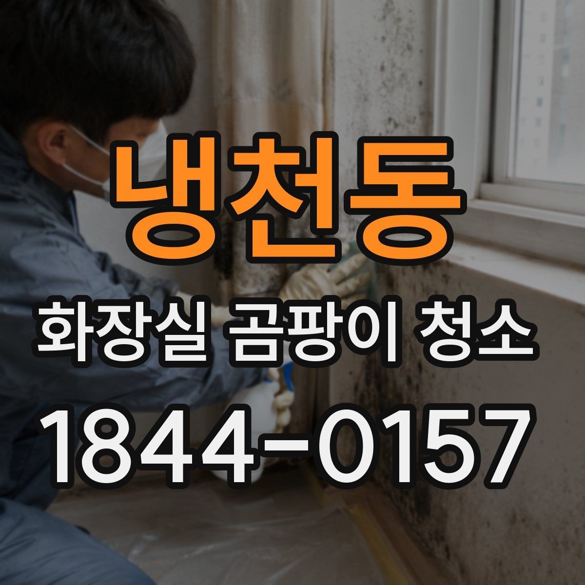 냉천동 화장실 곰팡이 청소 가정용 솔과 천으로 정리 가능한 범위