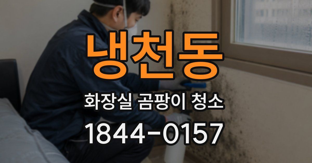 냉천동 화장실 곰팡이 청소