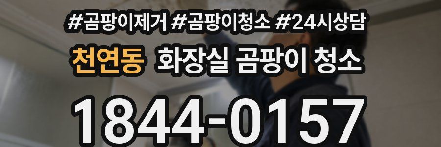 천연동 화장실 곰팡이 청소